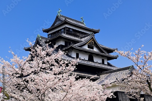 春の松江城