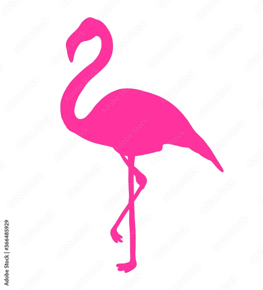 Fototapeta Pink Flamingo