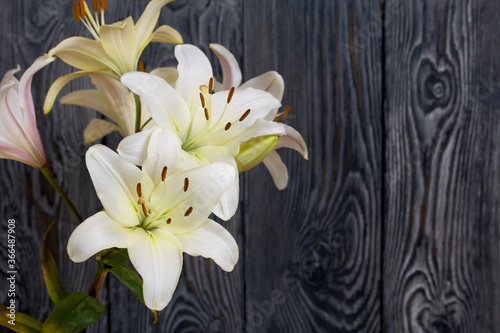 Fototapeta Naklejka Na Ścianę i Meble -  Blooming lilies against the background of pine boards painted in black and white.