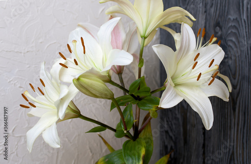 Blooming lilies against the background of pine boards painted in black and white.