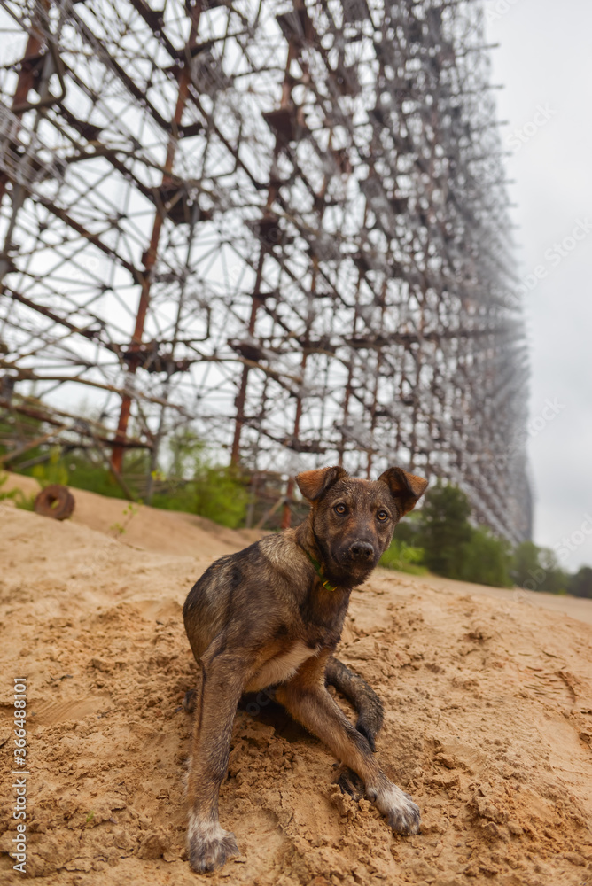 Duga radar system used as part of the Soviet missile defense early-warning radar network Duga radar system used as part of the Soviet missile defense early-warning radar network