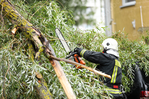 firefighters help clean up the effects of a fallen tree on cars after the storm in a rainy day.