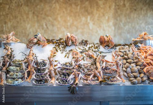 Photography Honfleur France seafood