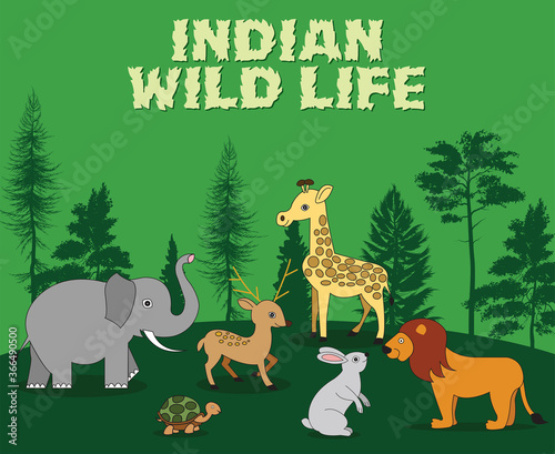 Indian wild life animal collection.
