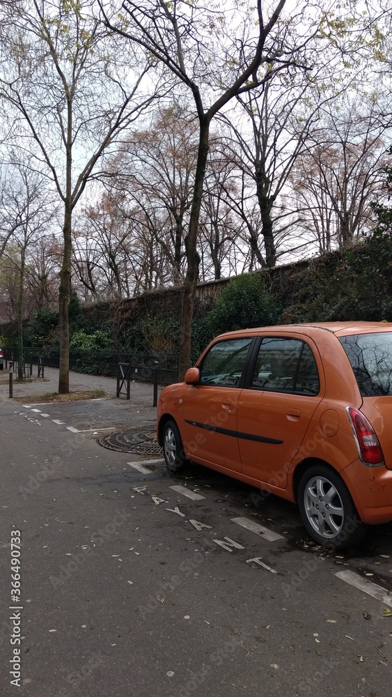 Carro nas ruas de Paris, com árvores secas ao fundo 