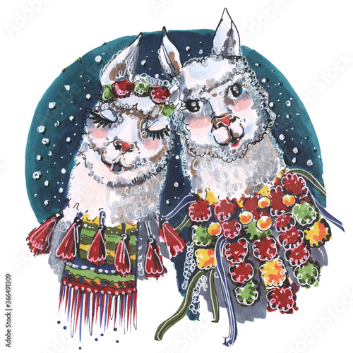 animals couple llama alpaca lovers illustration cartoon