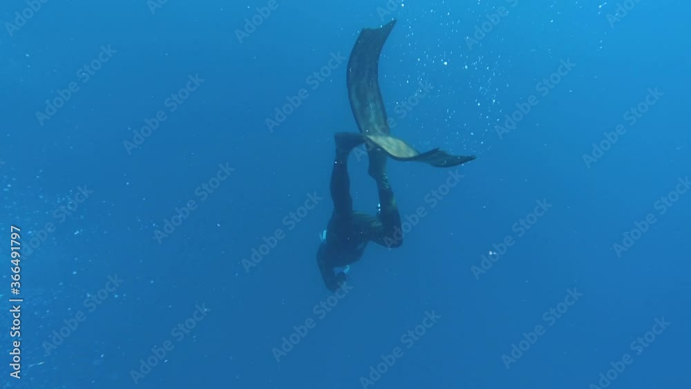 a diving photographer in clear blue sea
