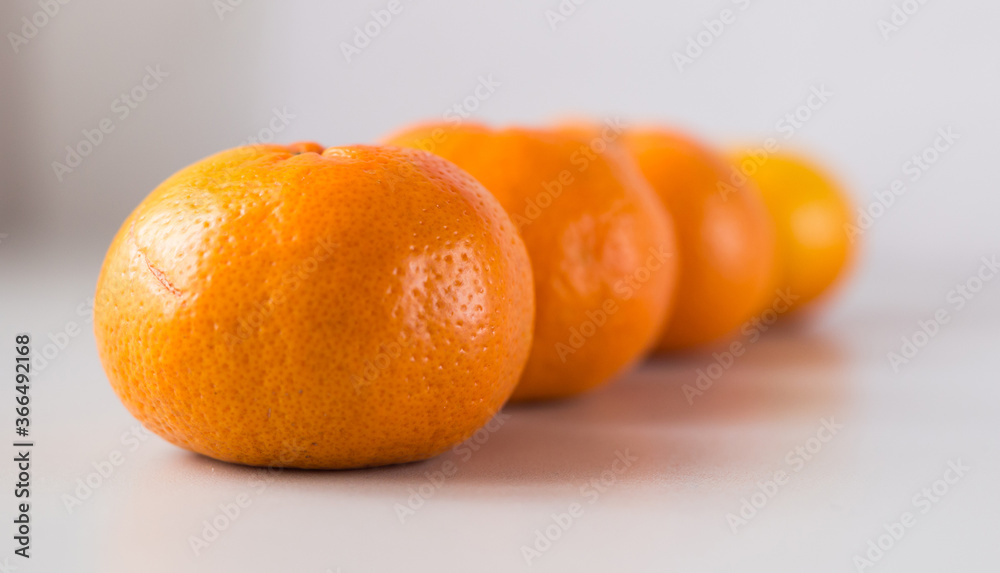 appetizing tangerines laid out in a row on white background appetizing tangerines laid out in a row on white background