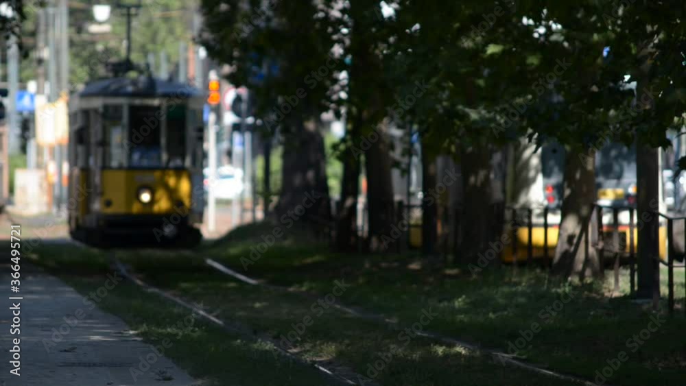 tree-lined avenue in the center of Milan with passage of the typical yellow trams of the city tree-lined avenue in the center of Milan with passage of the typical yellow trams of the city