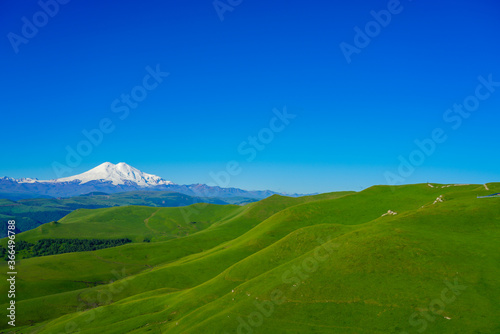 Green Meadow Hills Background Elbrus at a Summer Day.