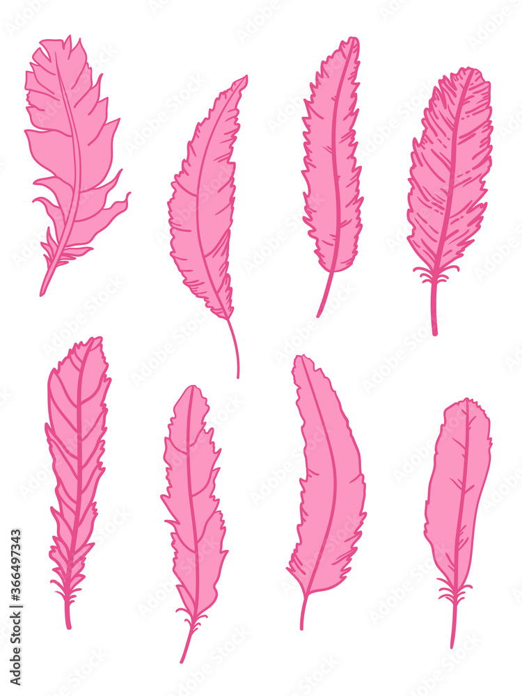 Feather. Hand drawn feathers on isolated white background. Print for textiles, fabrics, polygraphy, posters Feather. Hand drawn feathers on isolated white background. Print for textiles, fabrics, polygraphy, posters