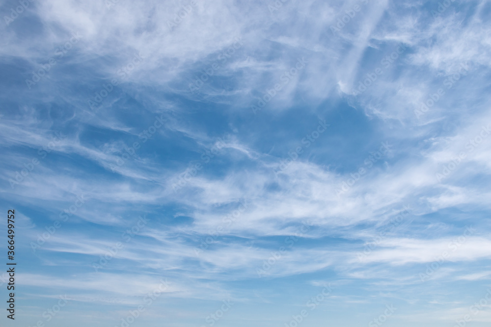 Fluffy white clouds float across the blue sky on a clear sunny summer or spring day. Empty space for inscriptions, form. Background sky. Blue and white wallpaper. Low angle view