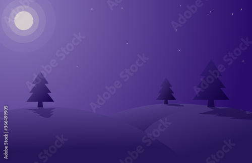 christmas night landscape