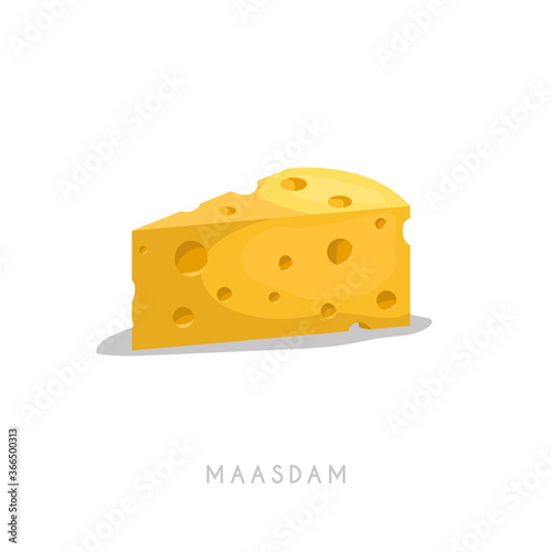 Piece of maasdam. Cartoon flat style cheese segment. Fresh diary product. Vector illustration single icon isolated on white background.