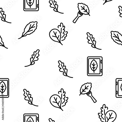 Arugula Or Rucola Vector Seamless Pattern Thin Line Illustration