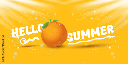 Vector Hello Summer horizontal banner or flyer Design template with fresh orange fruit isolated on orange background with lights. Hello summer concept label or poster with fruit and letternig text