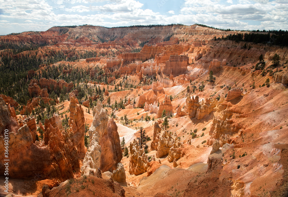 The famous amphitheater at Bryce Canyon National Park, Utah USA The famous amphitheater at Bryce Canyon National Park, Utah USA