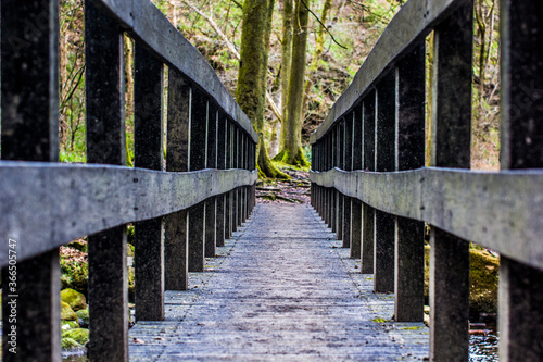 Bridge perspective