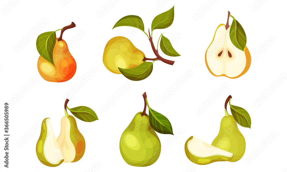 Pomaceous Pear Fruit with Upper End of Flower Stalk and Green Fibrous Leaf Vector Set