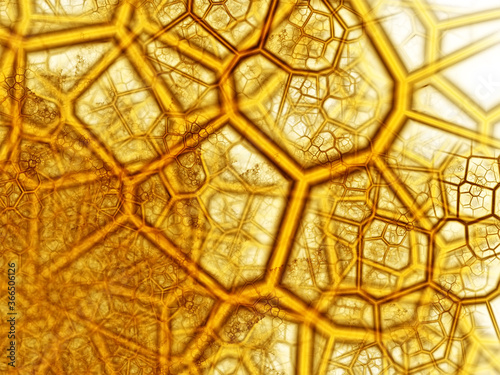 abstract background with cells