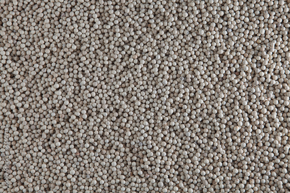 white pepper as a background texture white pepper as a background texture