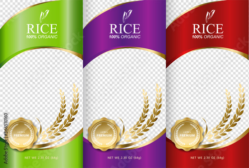 Rice food or thai food, banner and poster template vector design.