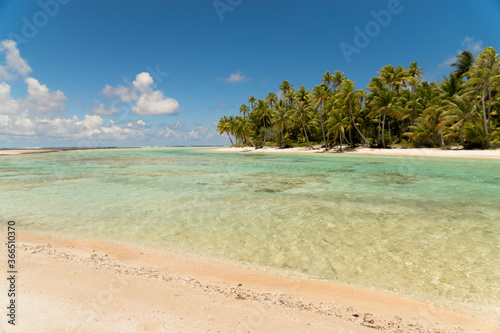 tropical beach with palm trees © cedric