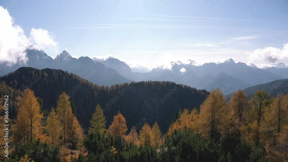 Aerial - Flying over autumn larch trees with a view on beautiful mountain peaks in distance. 4K Aerial - Flying over autumn larch trees with a view on beautiful mountain peaks in distance. 4K
