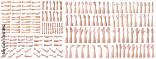 GROUP of Male asian hand gestures isolated over the white background. photo