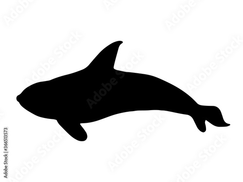Orca silhouette vector icon. Killer whale sign.
