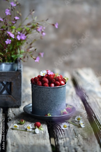 Fruit of a mock strawberry, Duchesnea indica, Strawberries in Small White Bucket Board on Light Background,