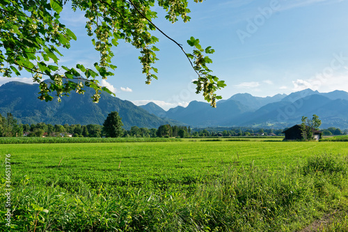 Blick auf die bayerischen Alpen, im Inntal. Im Vordergrund grüne Felder. photo