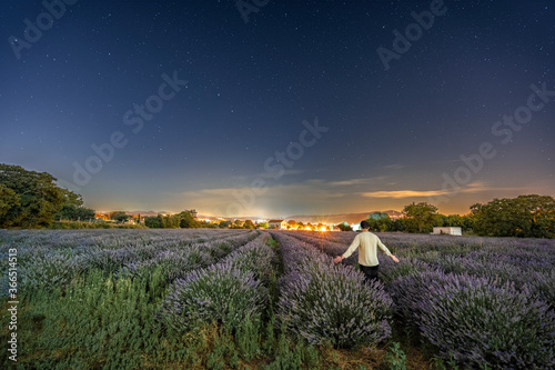 Fotografía Paseando por campos de lavanda