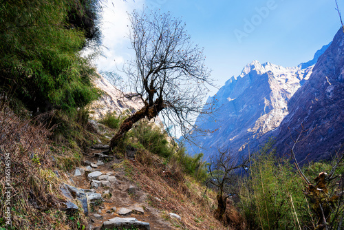 Trekking in Annapurna region with Annapurnas in the background photo