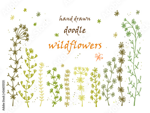 Floral frame. Hand drawn doodle Wild Flowers. Floral Set - Vector illustration. Floral background. Wildflowers. Flowers. Green Grass. Invitation card template 