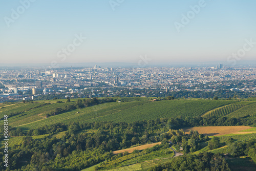Scenic view over the City of Vienna and the vine yards and hills of Vienna Woods from Leopoldsberg in the morning.