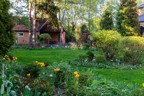Amazing garden close to Countru house near to Moscow in Odintsovo region ( Moscow oblast) photo