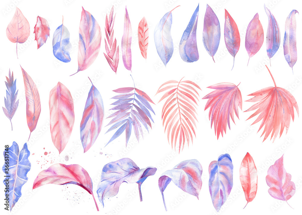 Pink, coral, lilac tropical leaves, exotic plants. Watercolor painting. Perfect for wedding, invitations 
