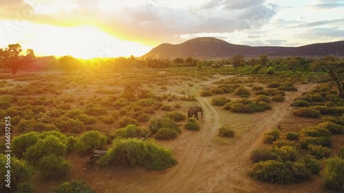 Coucher de soleil avec elephant dans la savane Africaine Kenya photo