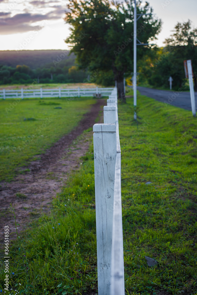 wooden white fence for horses wooden white fence for horses