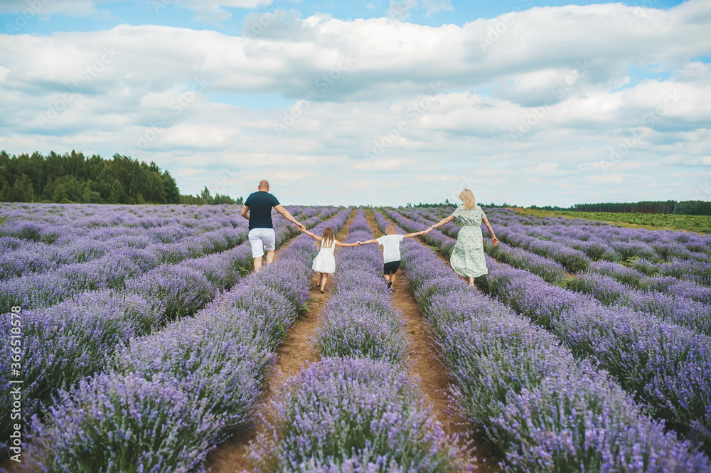Happy family of four walk on purple lavender flower meadow field background. Back view