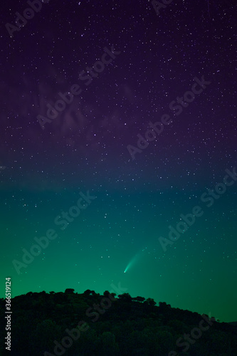 Fototapeta Naklejka Na Ścianę i Meble -  Neowise comet in the night under a starry sky