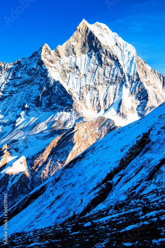 Panorama of Mount Machapuchare (Fishtail) at sunset, view from Annapurna base camp in the Nepal Himalaya. Machhapuchchare is a mountain in the Annapurna Himal of north Central Nepal photo