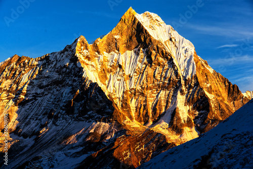 Panorama of Mount Machapuchare (Fishtail) at sunset, view from Annapurna base camp in the Nepal Himalaya. Machhapuchchare is a mountain in the Annapurna Himal of north Central Nepal photo