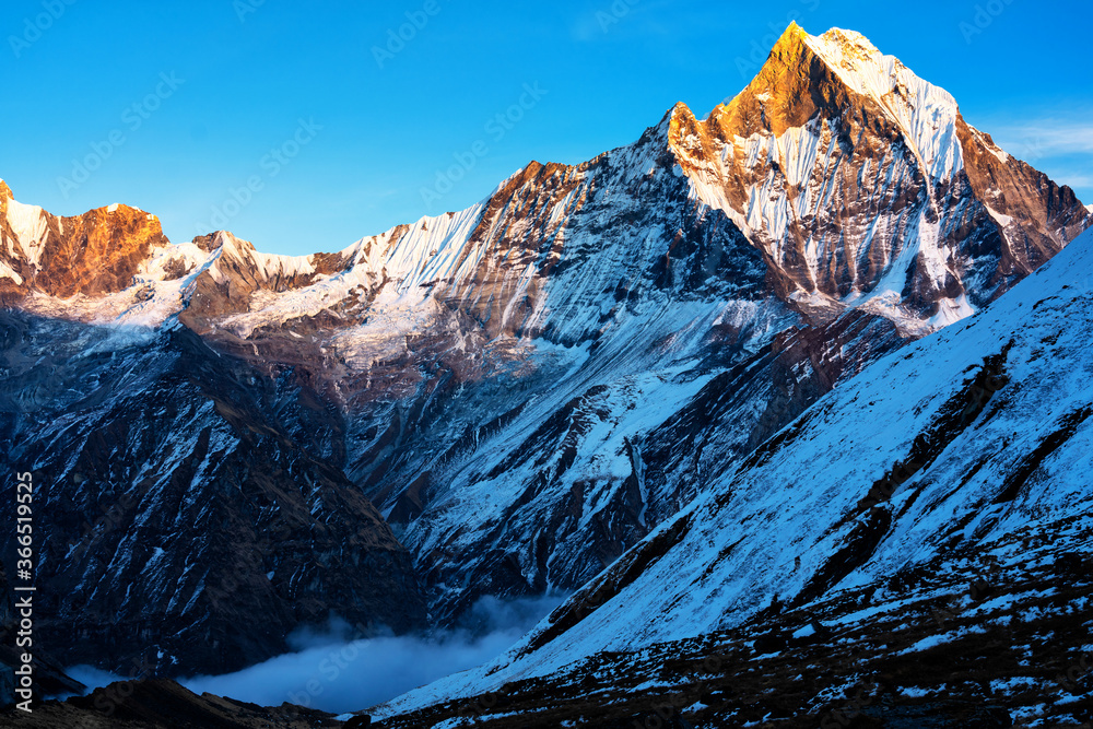 Panorama of Mount Machapuchare (Fishtail) at sunset, view from Annapurna base camp in the Nepal Himalaya. Machhapuchchare is a mountain in the Annapurna Himal of north Central Nepal