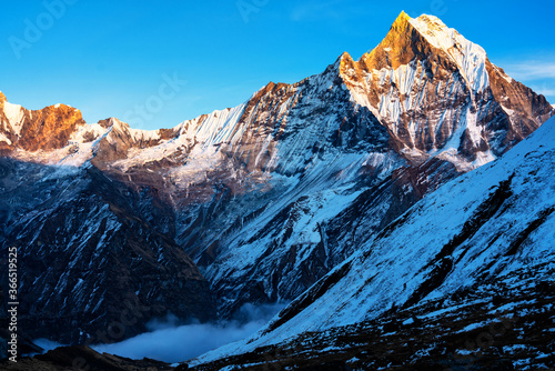 Panorama of Mount Machapuchare (Fishtail) at sunset, view from Annapurna base camp in the Nepal Himalaya. Machhapuchchare is a mountain in the Annapurna Himal of north Central Nepal