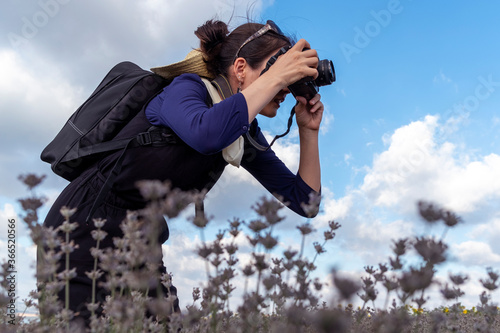 Photographer in action. Photographer girl taking photos among the lavenders. sunny weather
