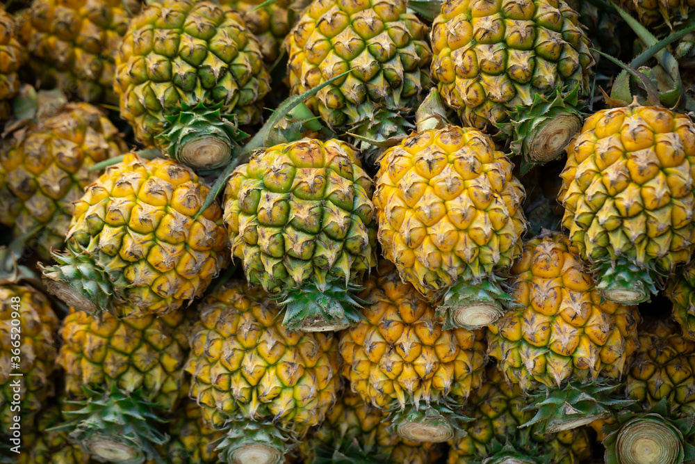 A pile of sweet yellow pineapples on the market in Thailand.