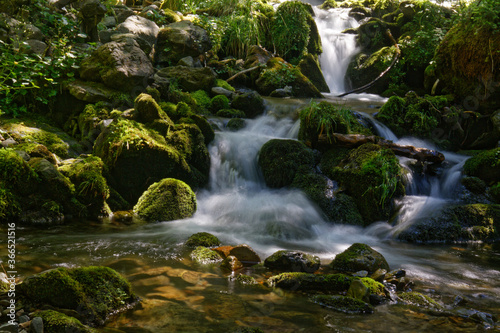 Small waterfall in a forest of Belledonne