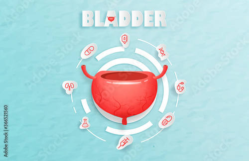 Human bladder and treatment paper cut style. A concept hospital for wallpaper and web.